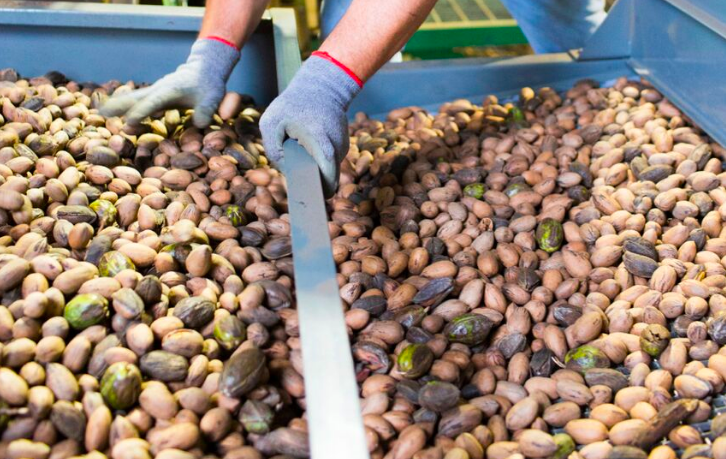 Schermer News: Our Wetherbee Private Stock Pecans